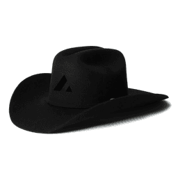 Acme Cowboy Hat