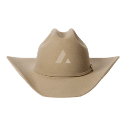 Acme Cowboy Hat