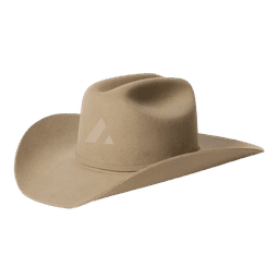 Acme Cowboy Hat