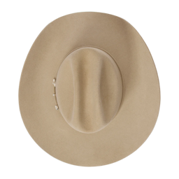Acme Cowboy Hat
